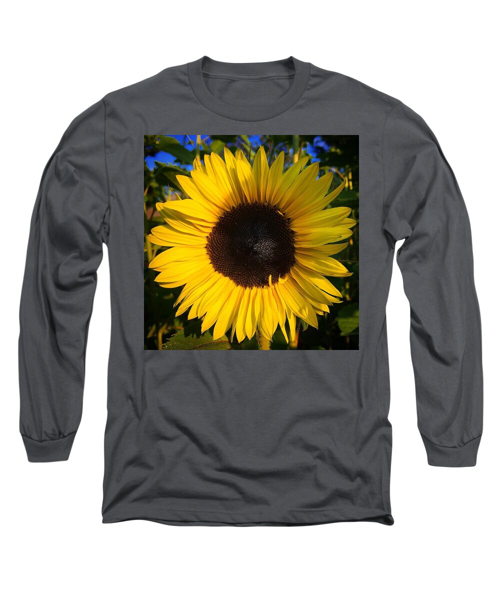 Sunflower Long Sleeve T-Shirt featuring the photograph Sunflower by Brian Eberly