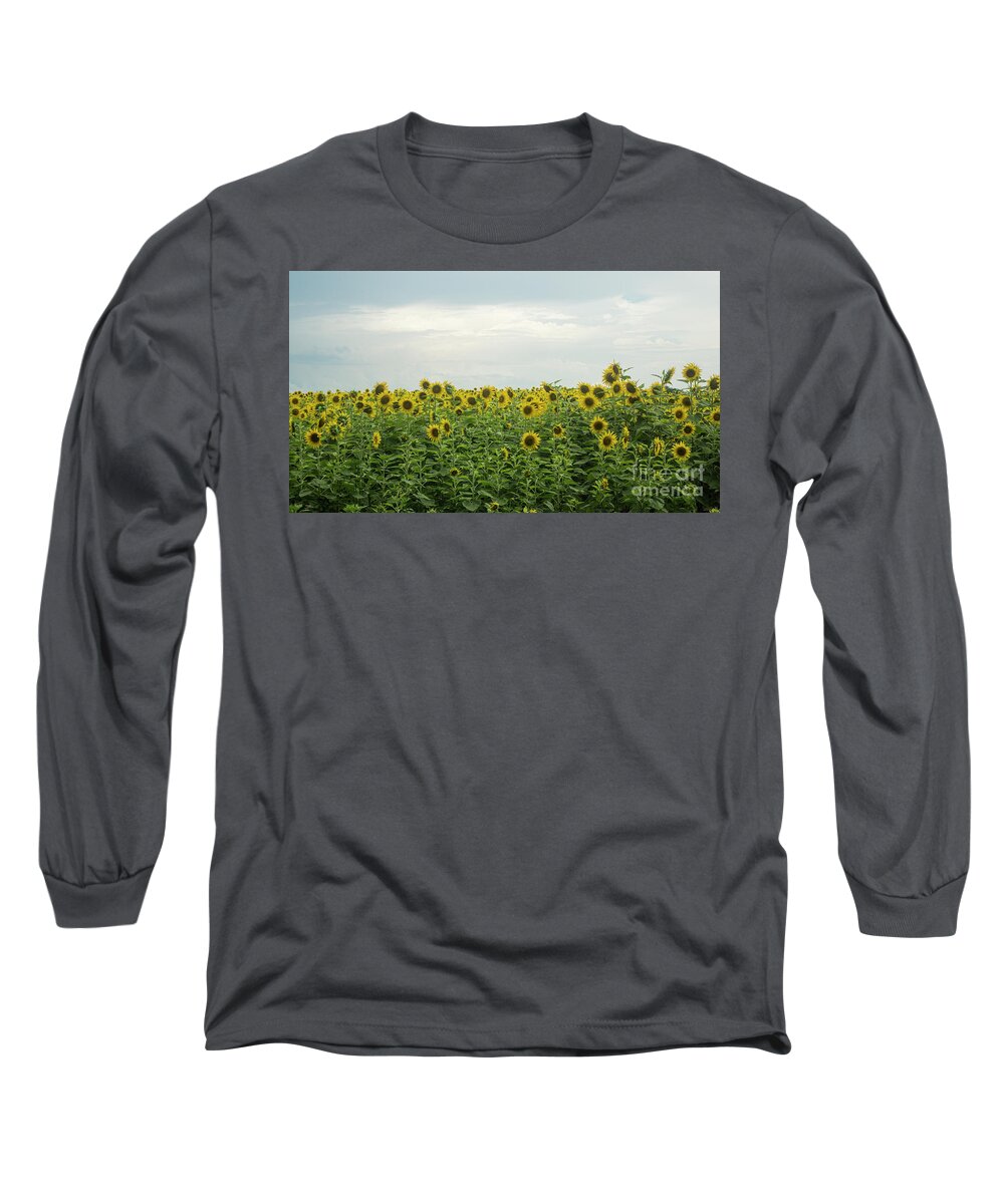 Garden Long Sleeve T-Shirt featuring the photograph Sunflower Field by Ules Barnwell