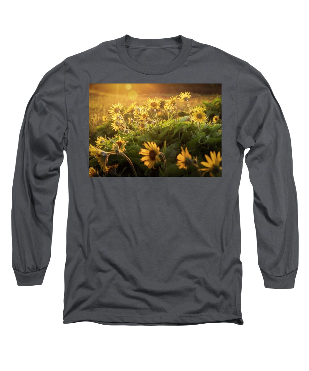 Sony Long Sleeve T-Shirt featuring the photograph Sunset Balsam by Jon Ares