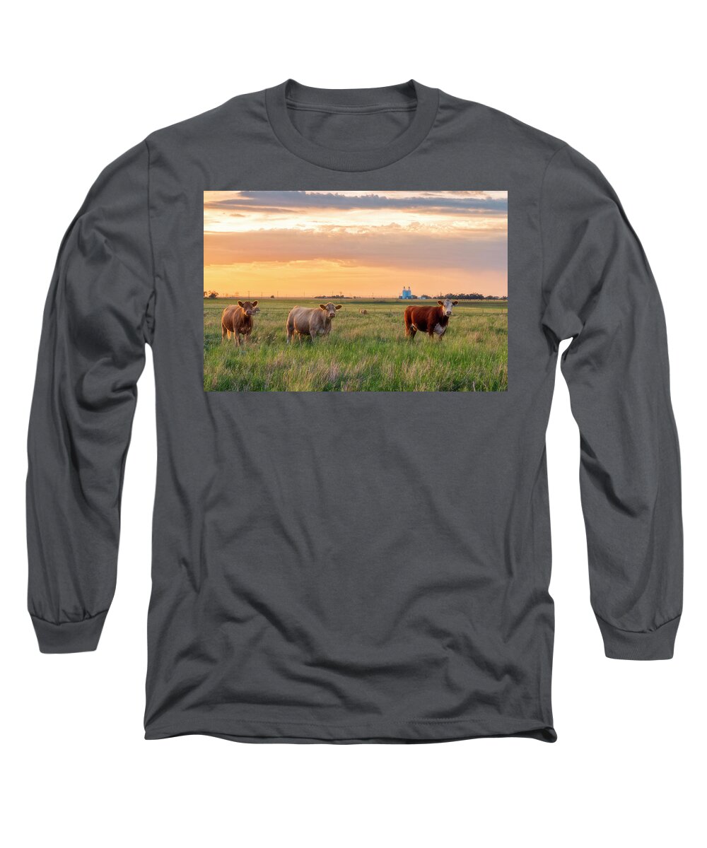 Sunset Long Sleeve T-Shirt featuring the photograph Sunset Cattle by Russell Pugh