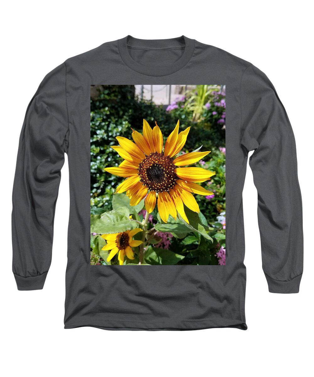 Flowers Long Sleeve T-Shirt featuring the photograph Sunshine by Rick Redman