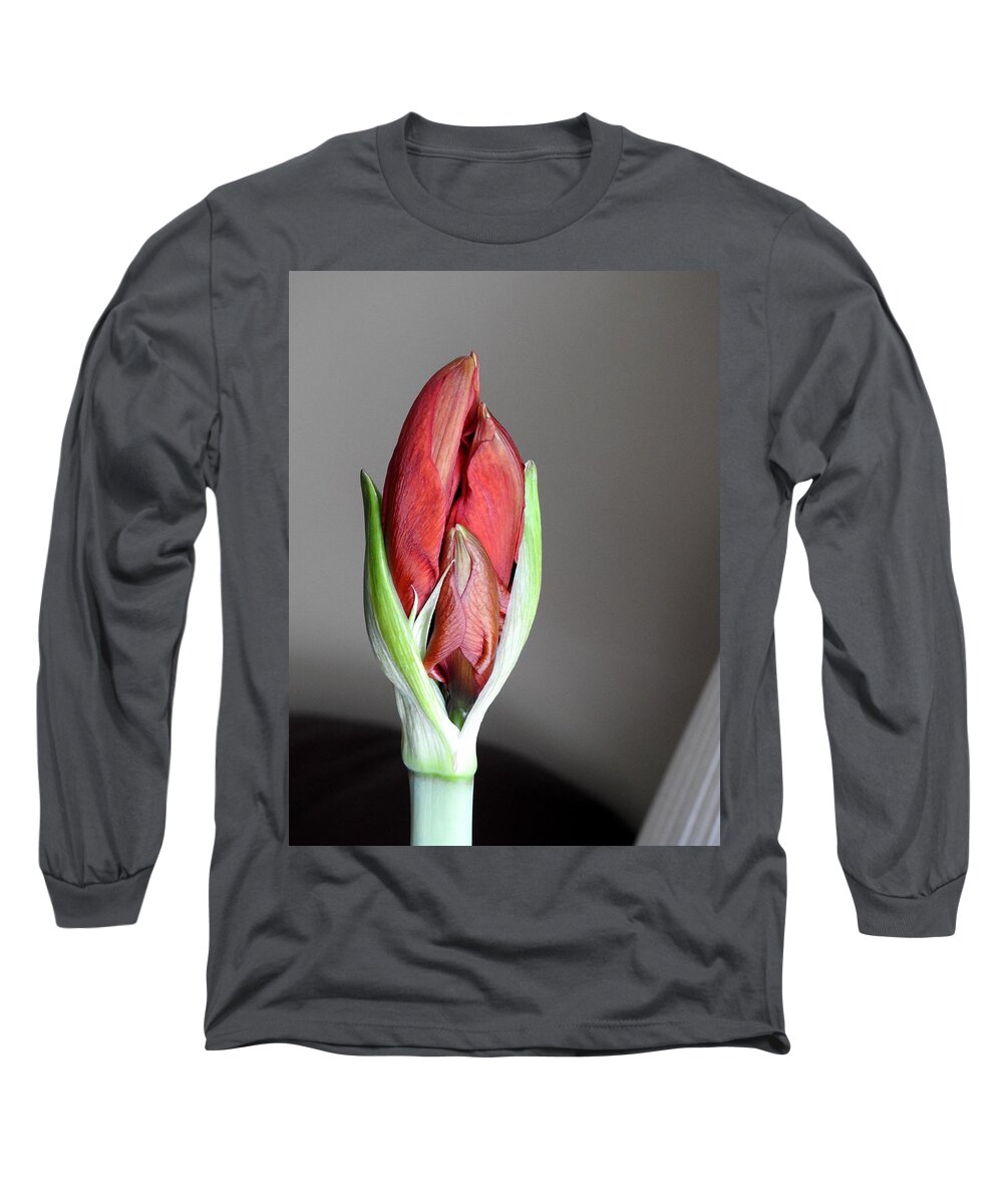 Amaryllis Plant Long Sleeve T-Shirt featuring the photograph Super Bud by Betty-Anne McDonald
