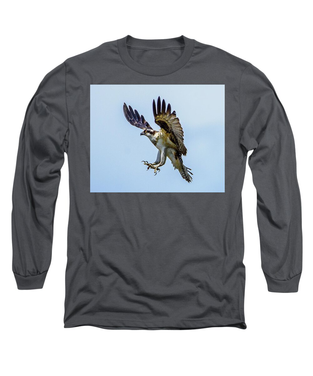 Osprey Long Sleeve T-Shirt featuring the photograph Suspended Osprey by Jerry Cahill