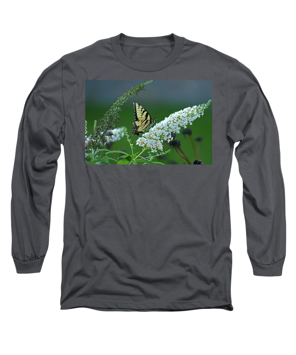 Butterfly Long Sleeve T-Shirt featuring the photograph Swallowtail by Ira Marcus