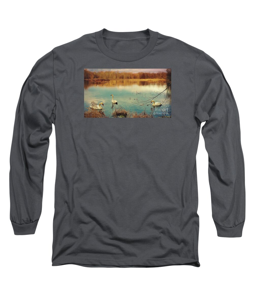 Swan Long Sleeve T-Shirt featuring the photograph Swan Lake by Beth Ferris Sale