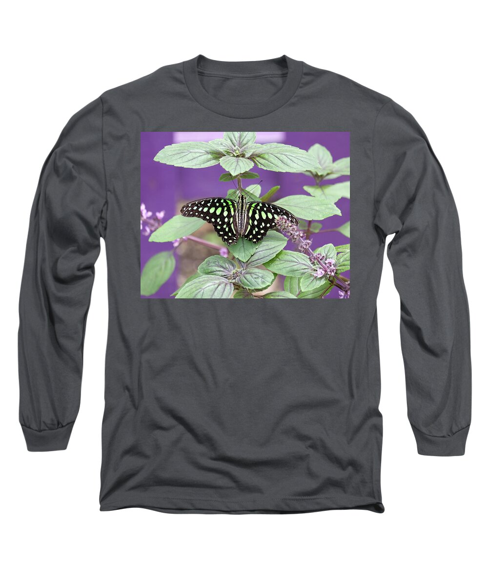 Tailed Jay Butterfly Long Sleeve T-Shirt featuring the photograph Tailed Jay butterfly in puple by Ronda Ryan