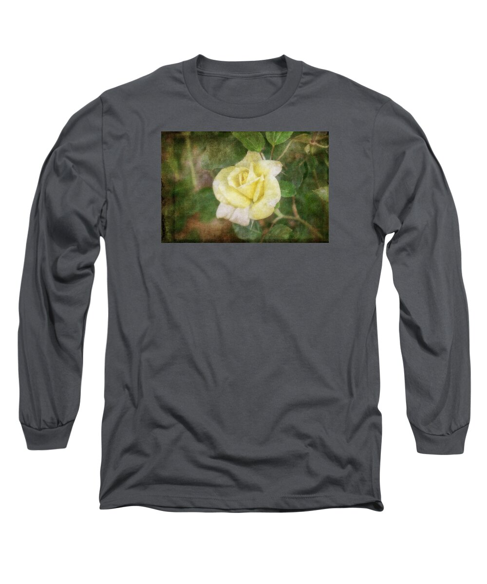 Rose Long Sleeve T-Shirt featuring the photograph Tapestry Rose by Joan Bertucci