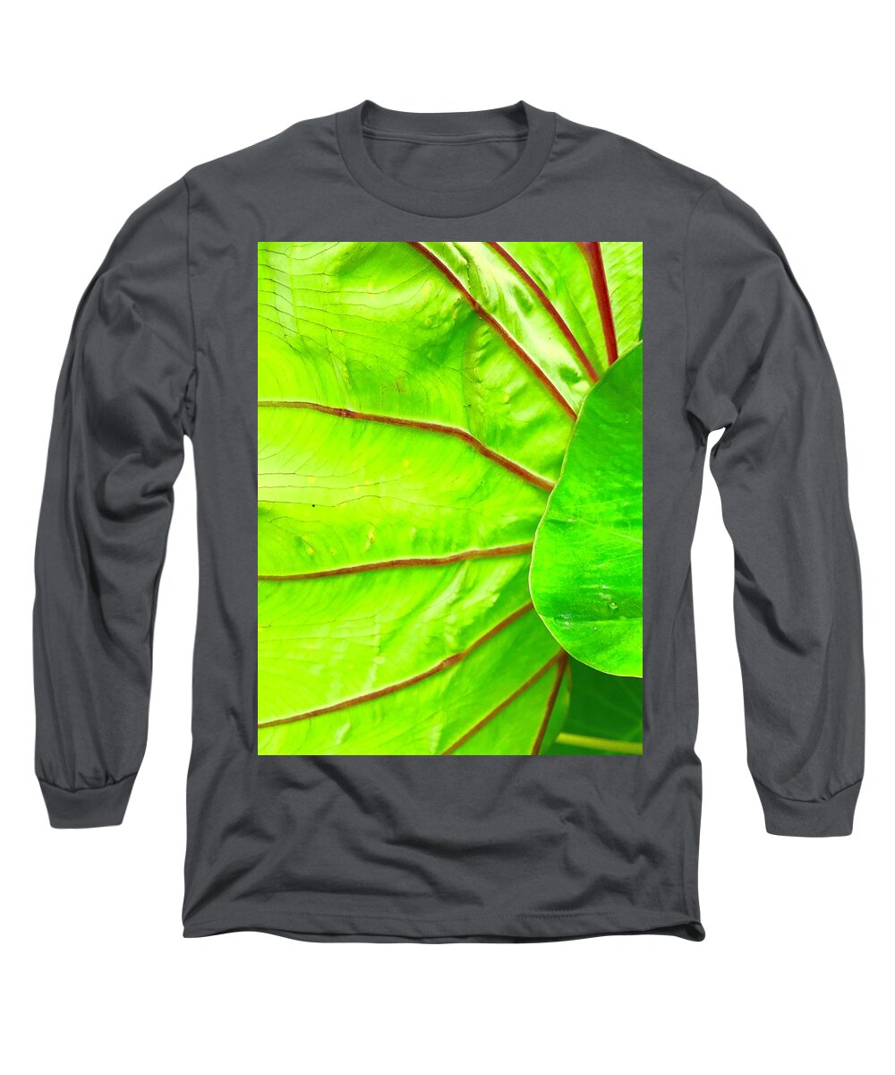 Flowers Of Aloha Taro Leaf Green Hawaii Long Sleeve T-Shirt featuring the photograph Taro Leaf Close Up in Green by Joalene Young