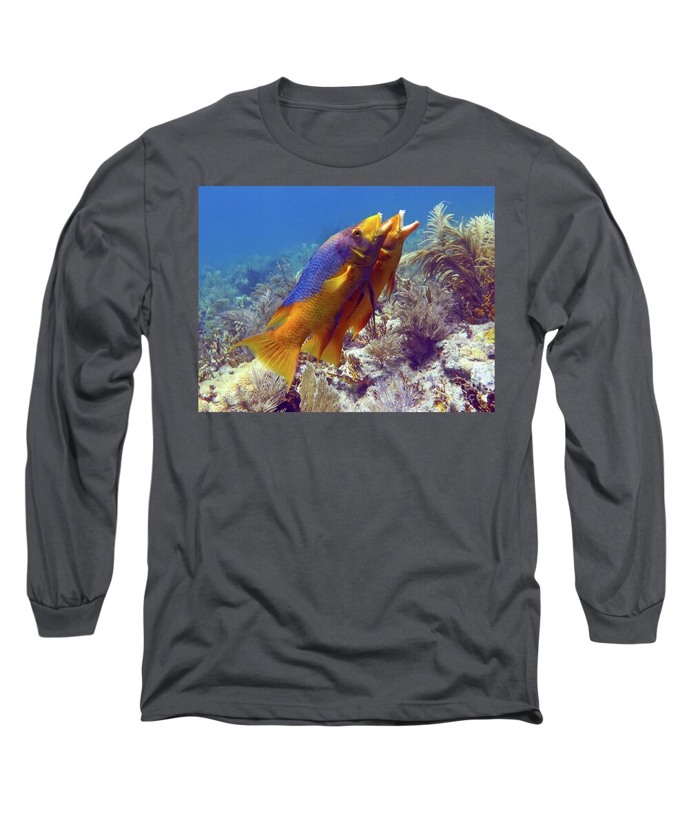 Underwater Long Sleeve T-Shirt featuring the photograph In Sync by Daryl Duda