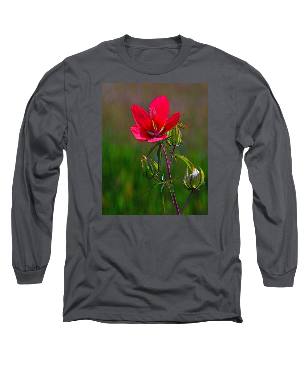 Flower Long Sleeve T-Shirt featuring the photograph Texas Star Hibiscus by Lawrence S Richardson Jr