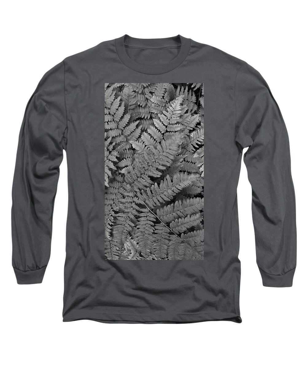 Fern Long Sleeve T-Shirt featuring the photograph Textures of the Forest by Holly Ross