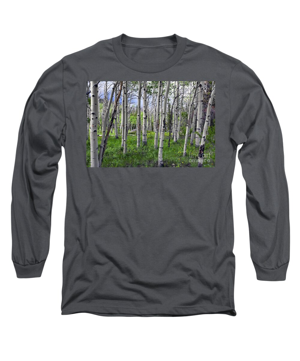 Aspen Long Sleeve T-Shirt featuring the photograph The Aspen of Red Fern by Stephen Schwiesow