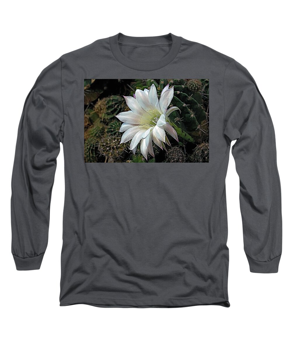 White Long Sleeve T-Shirt featuring the photograph The Beauty of Cactus by Hazel Vaughn