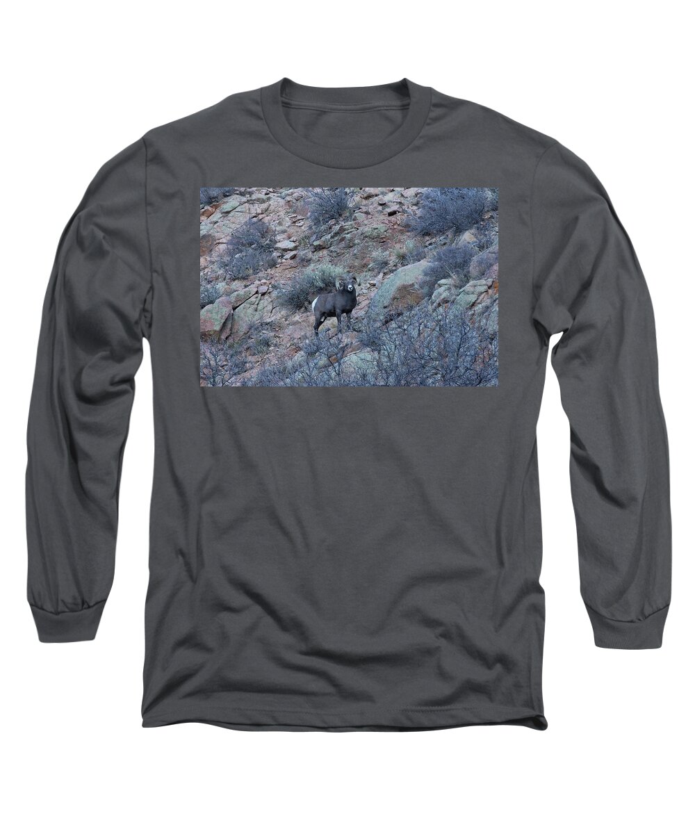 Bighorn Long Sleeve T-Shirt featuring the photograph The Big Horn 1 by Ernest Echols