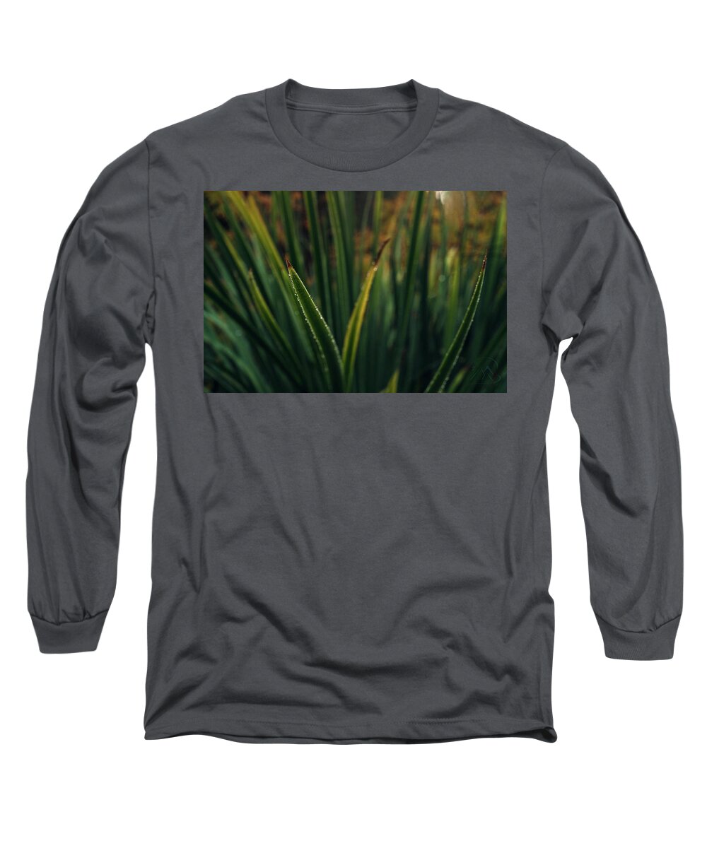 Blade Grass Long Sleeve T-Shirt featuring the photograph The Blade II by Gene Garnace