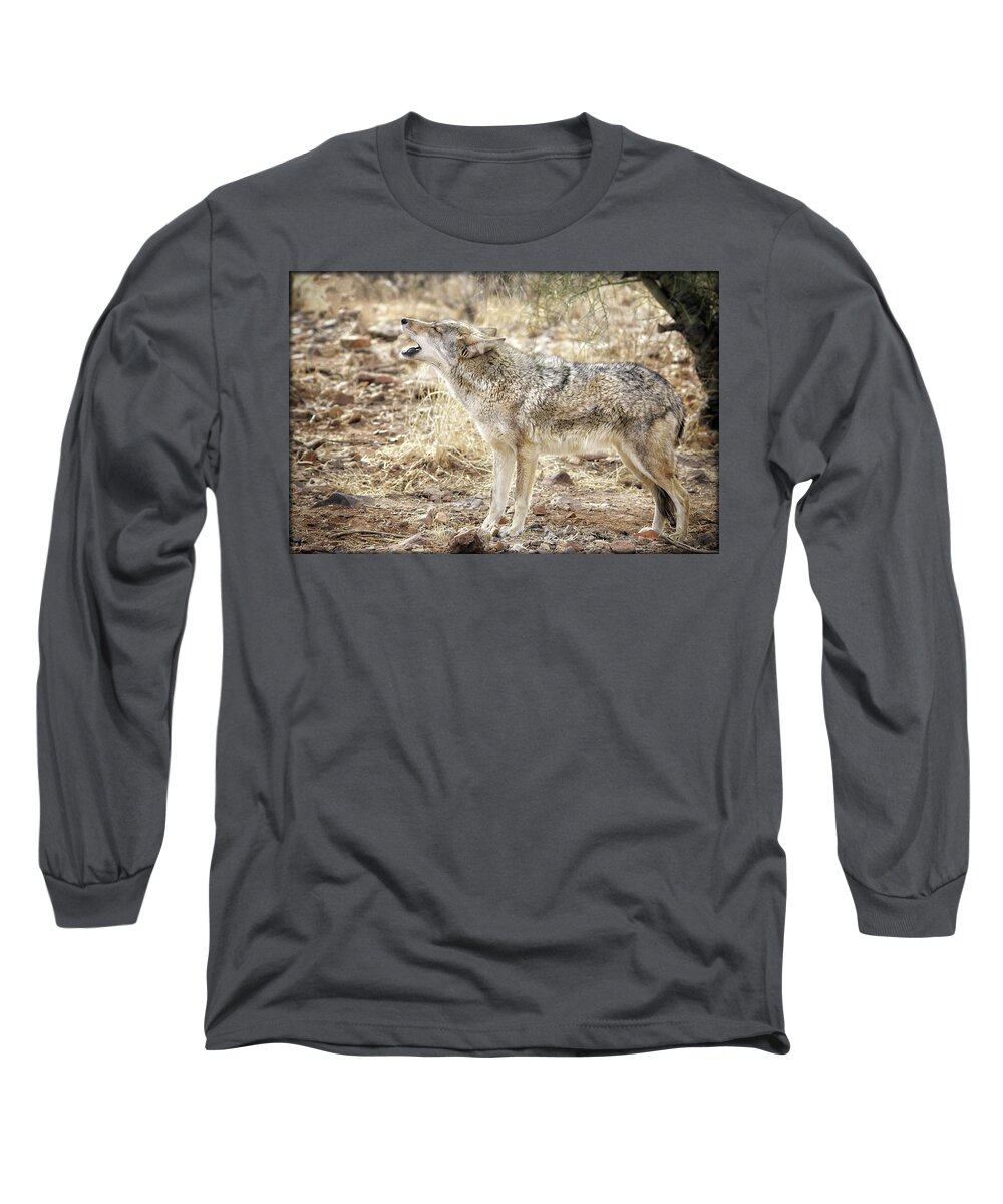 Coyote Long Sleeve T-Shirt featuring the photograph The Coyote Howl by Elaine Malott