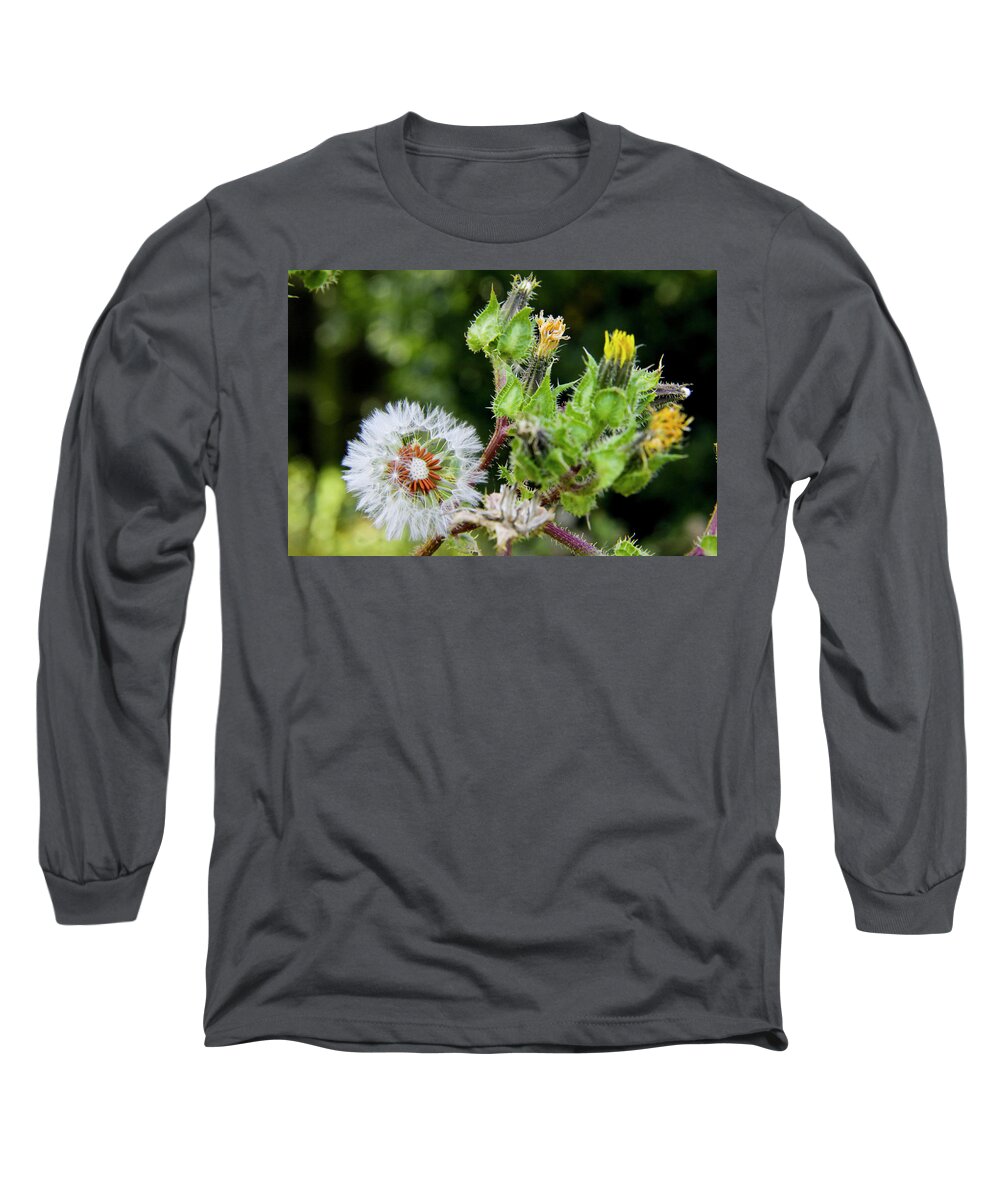 Garden Long Sleeve T-Shirt featuring the photograph The Enchanted Garden 3 by Gavin Bates
