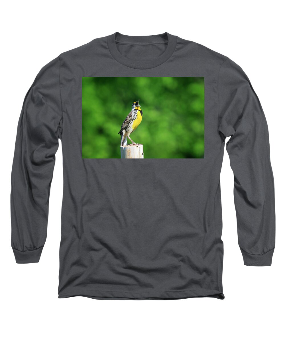 Gary Hall Long Sleeve T-Shirt featuring the photograph The Entertainer by Gary Hall