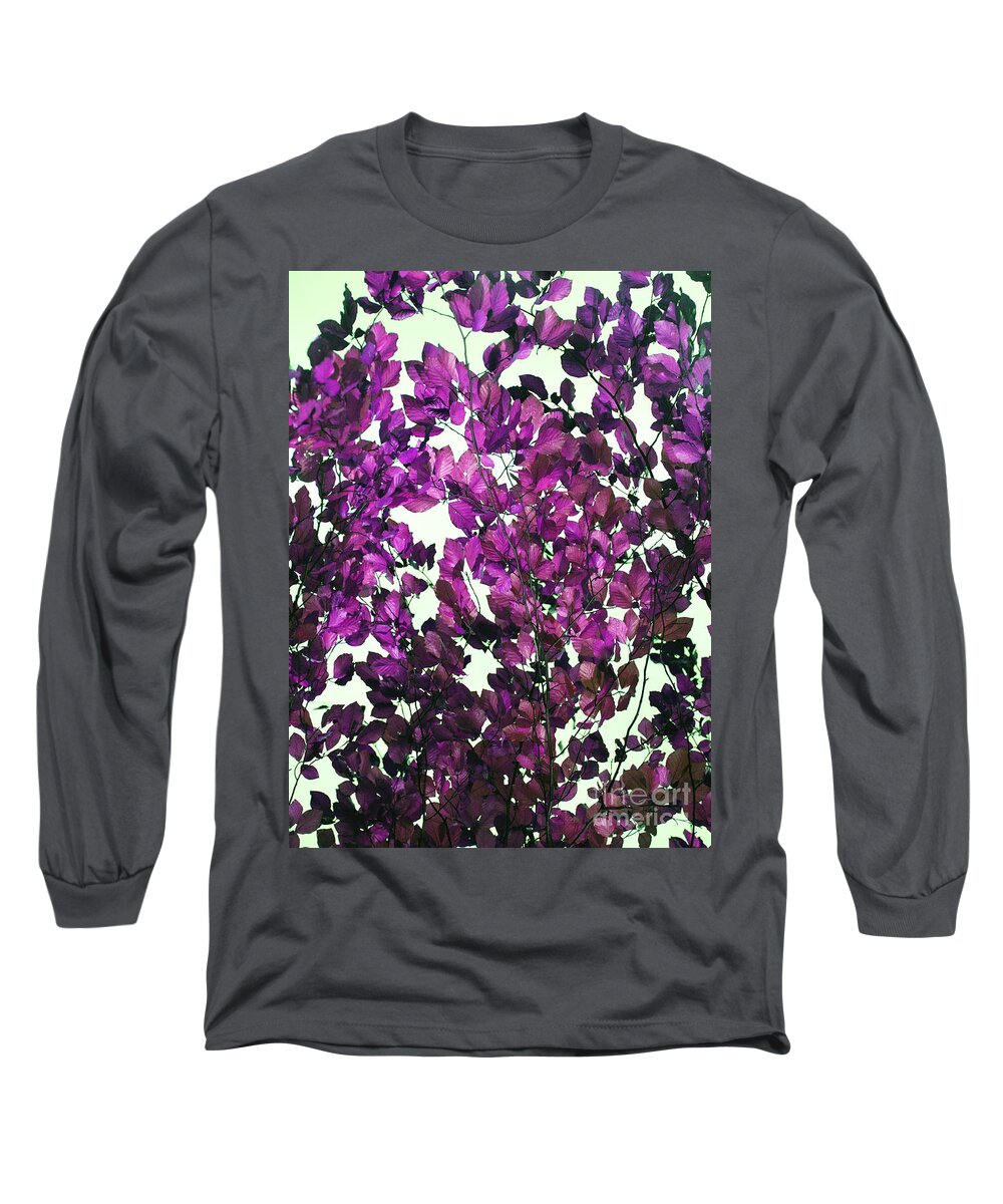 Purple Long Sleeve T-Shirt featuring the photograph The Fall - Intense Fuchsia by Rebecca Harman