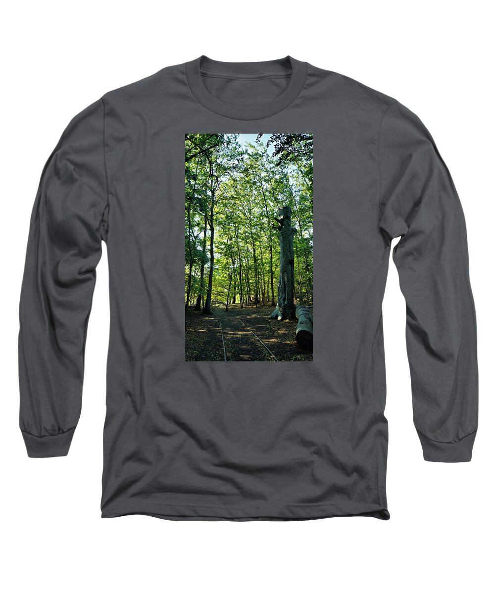 Forest Long Sleeve T-Shirt featuring the photograph The forest by Pedro Fernandez