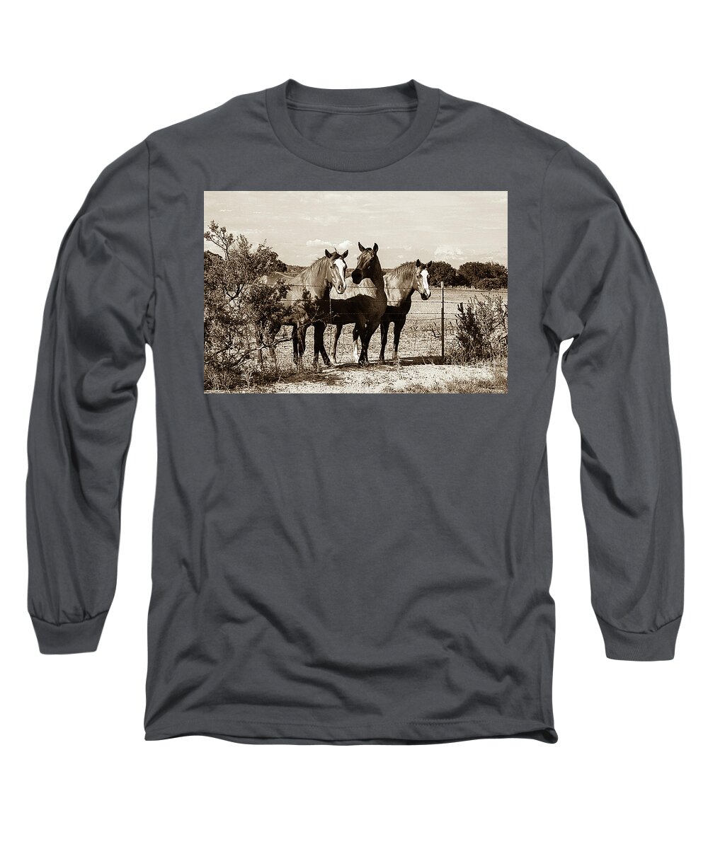 Horse Long Sleeve T-Shirt featuring the photograph The Girlz sepia by Toma Caul