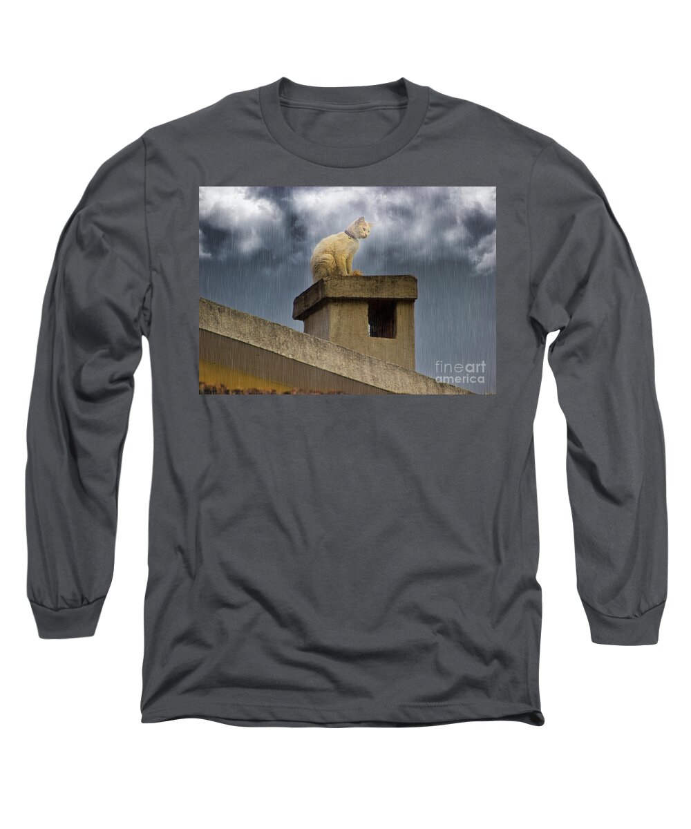 Cat Long Sleeve T-Shirt featuring the photograph The Hunt Goes On by Al Bourassa