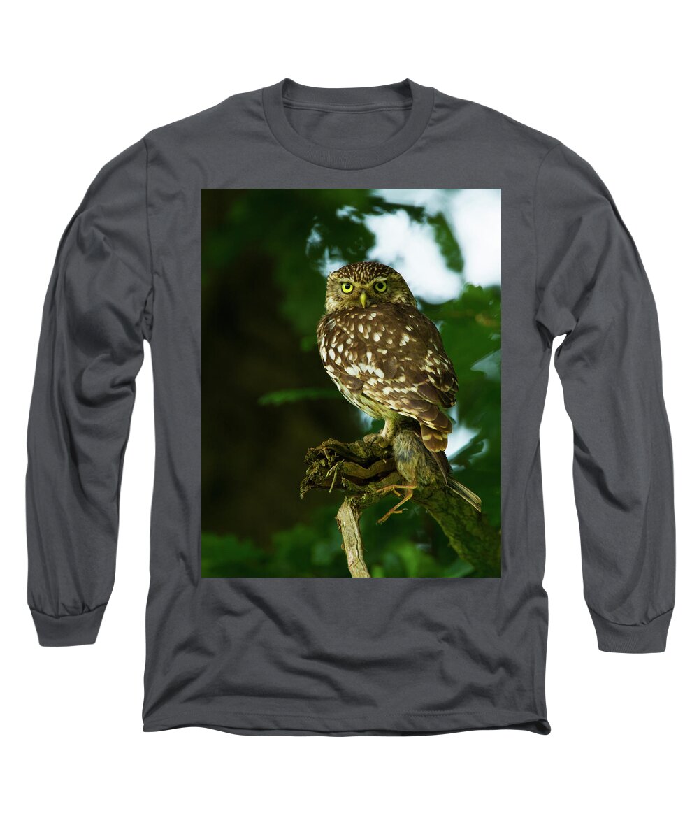 Littleowl Long Sleeve T-Shirt featuring the photograph The Hunter by Paul Scoullar
