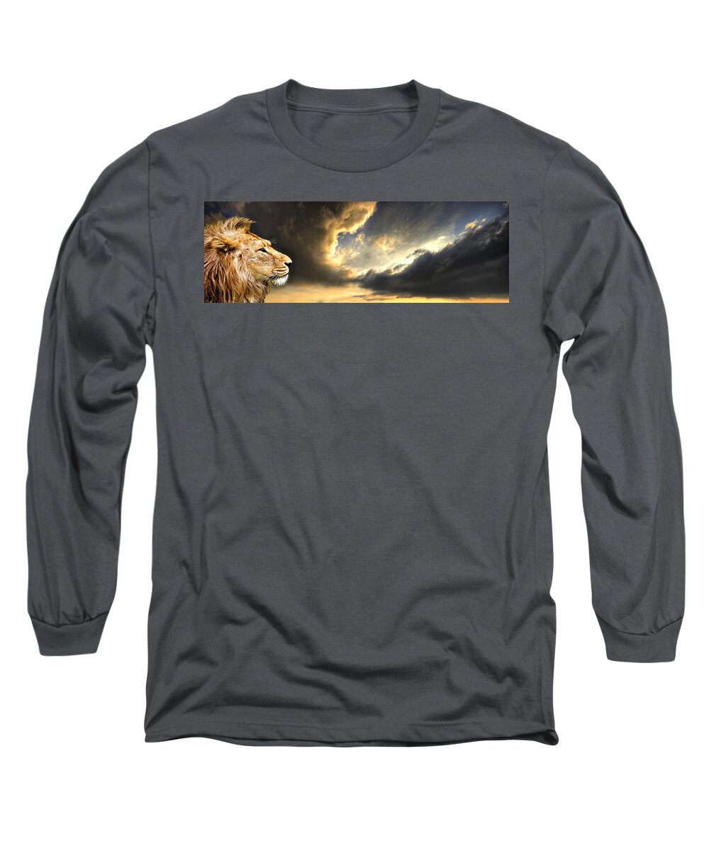 Lion Long Sleeve T-Shirt featuring the photograph The King Of His Domain by Meirion Matthias