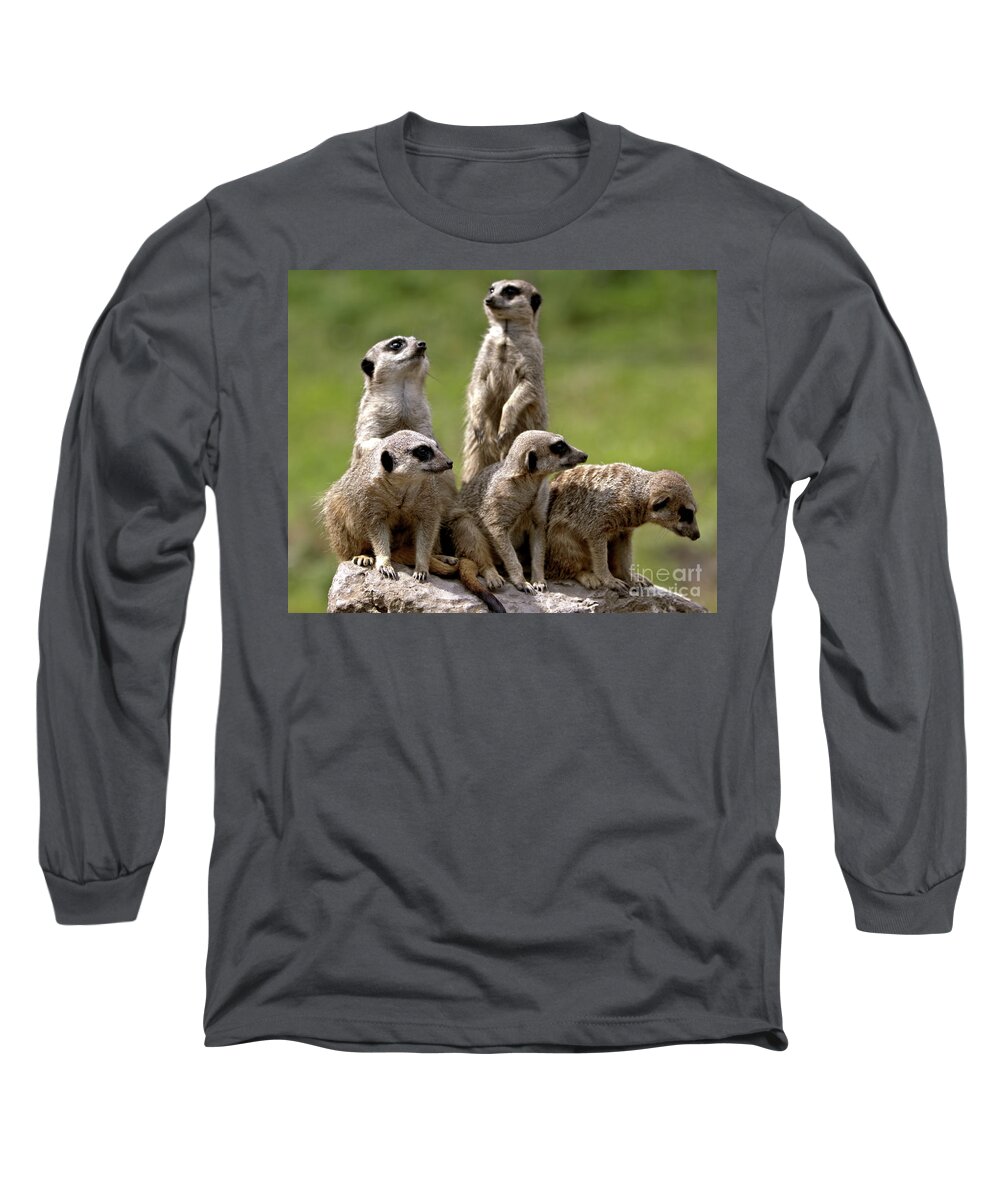 Animal Long Sleeve T-Shirt featuring the photograph The Management by Baggieoldboy