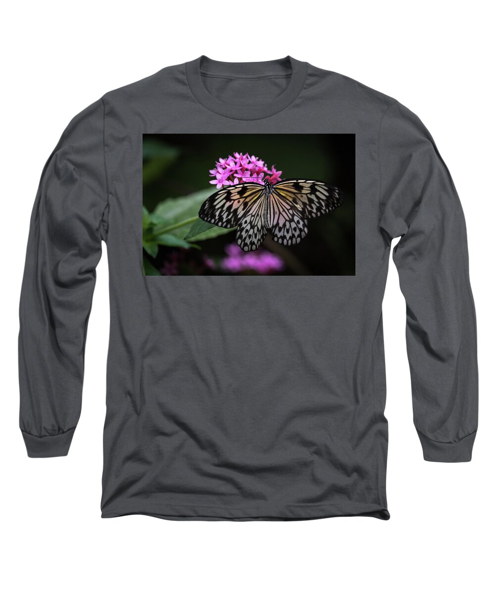 Photograph Long Sleeve T-Shirt featuring the photograph The Master Calls A Butterfly by Cindy Lark Hartman