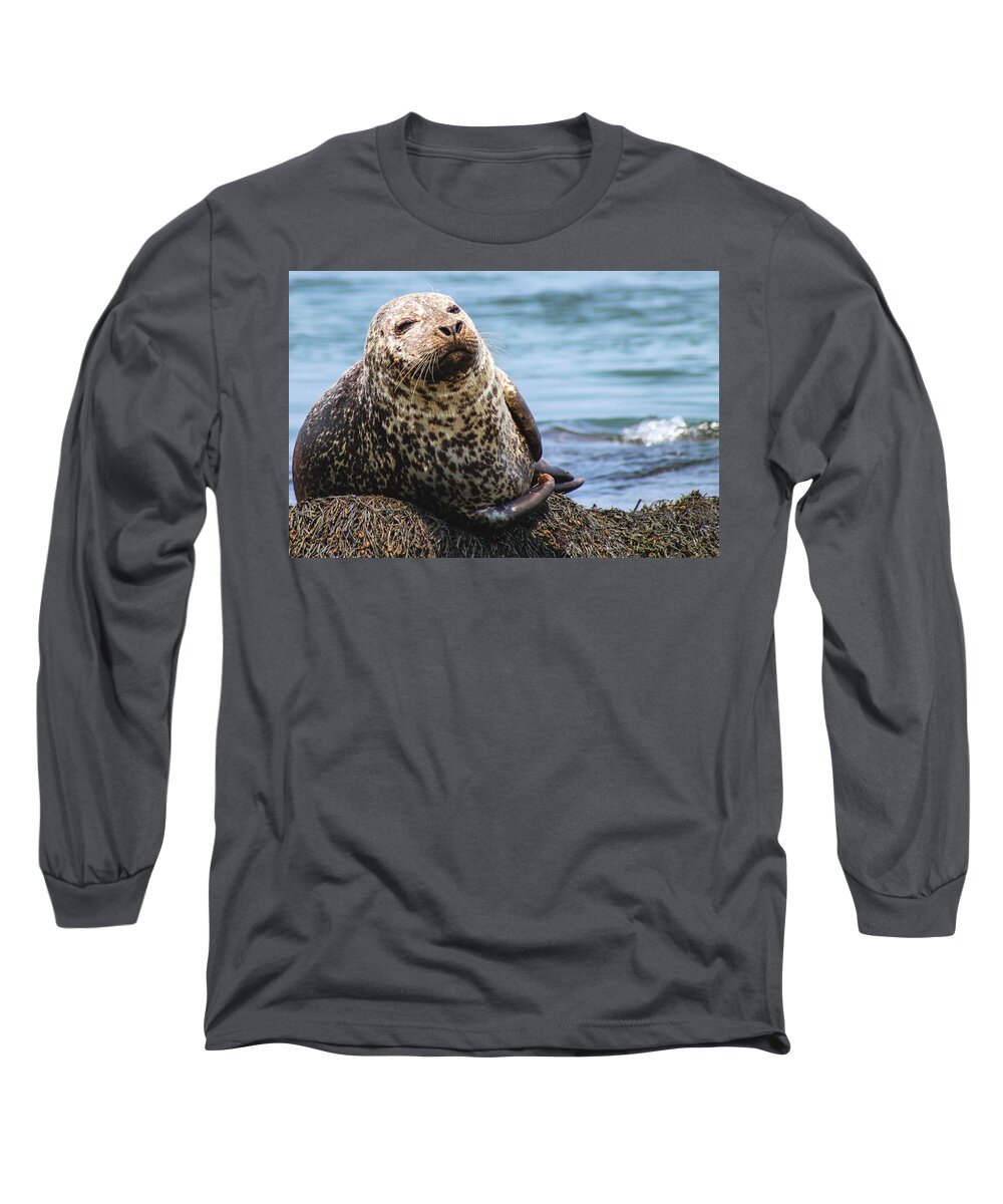 Seal Long Sleeve T-Shirt featuring the photograph The Most Interesting Seal by Holly Ross