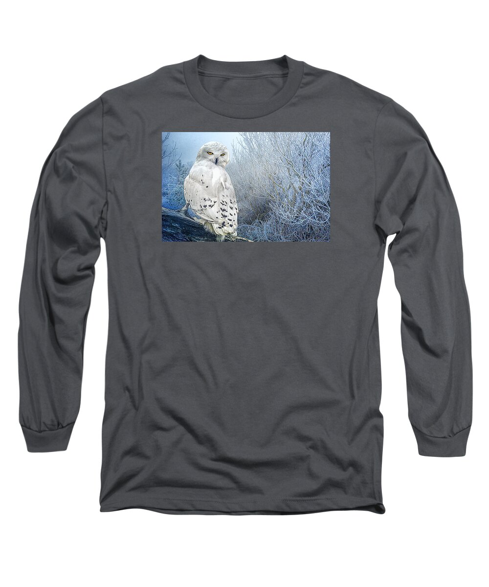 Snowy Owl Long Sleeve T-Shirt featuring the photograph The Mystical Snowy Owl by Brian Tarr