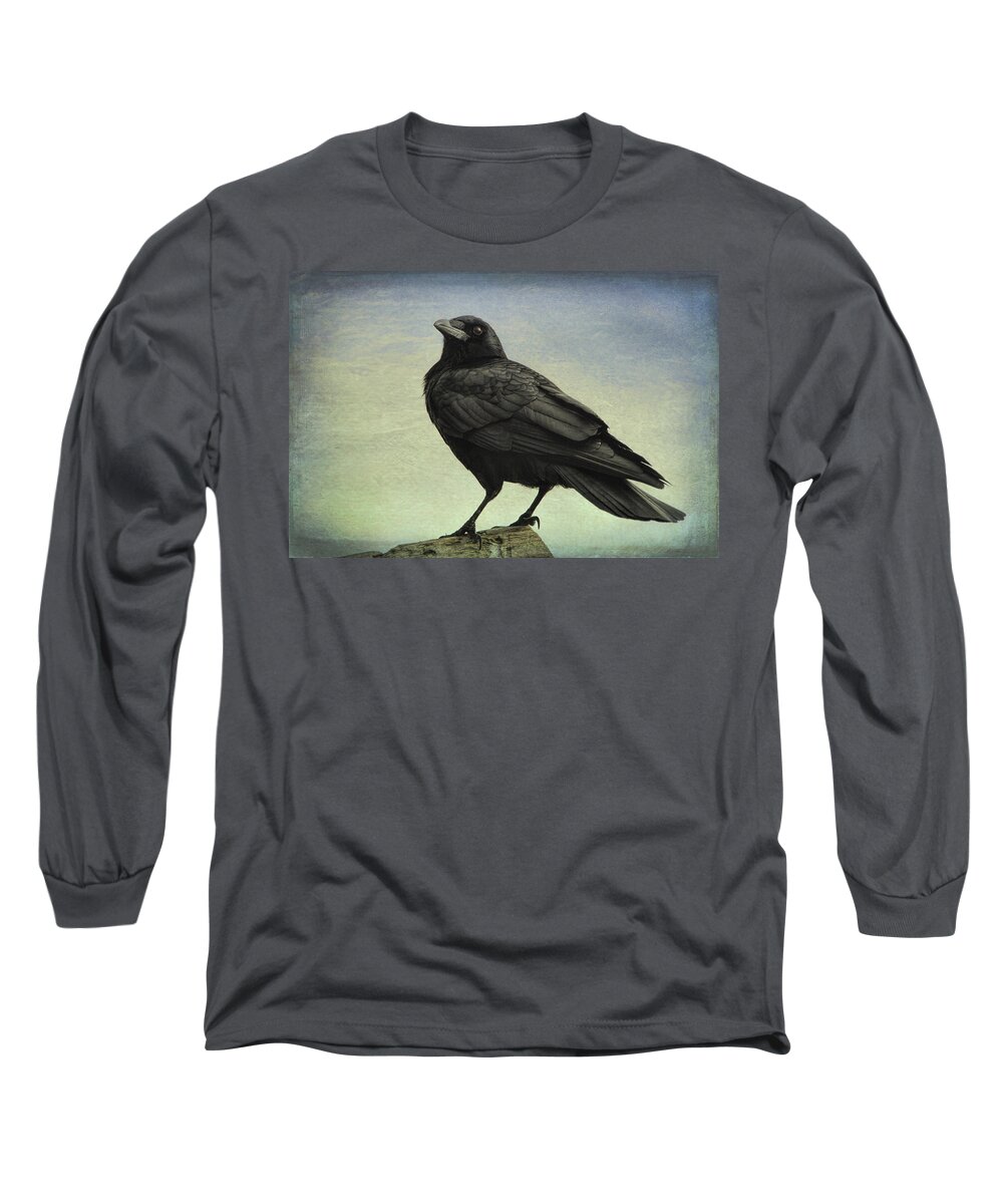 Wildlife Long Sleeve T-Shirt featuring the photograph The Raven - 365-9 by Inge Riis McDonald