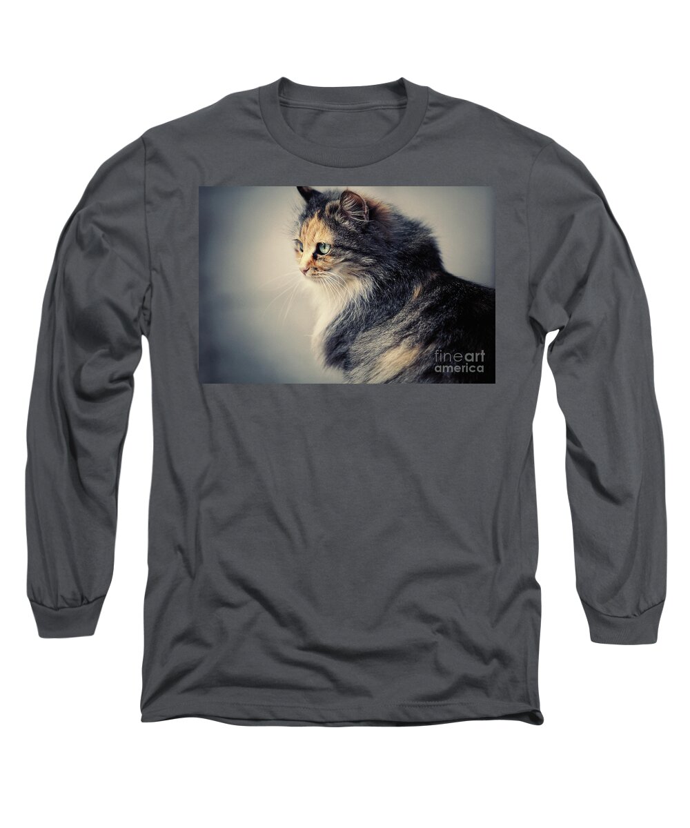 Cat Long Sleeve T-Shirt featuring the photograph The Sad Street Cat by Dimitar Hristov