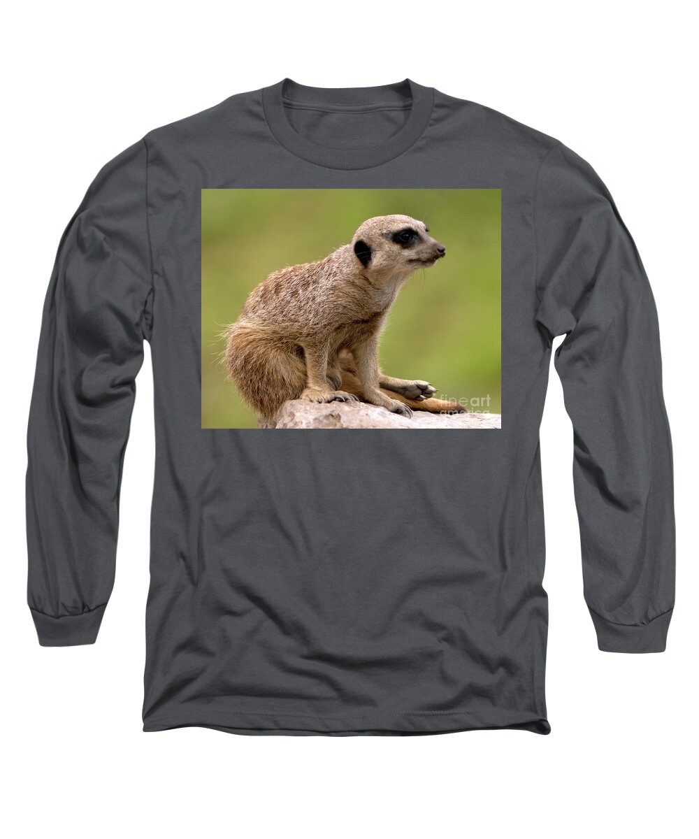 Small Long Sleeve T-Shirt featuring the photograph The Sentinel by Baggieoldboy