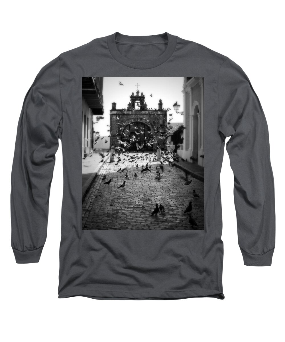 Pigeon Long Sleeve T-Shirt featuring the photograph The Street Pigeons by Perry Webster