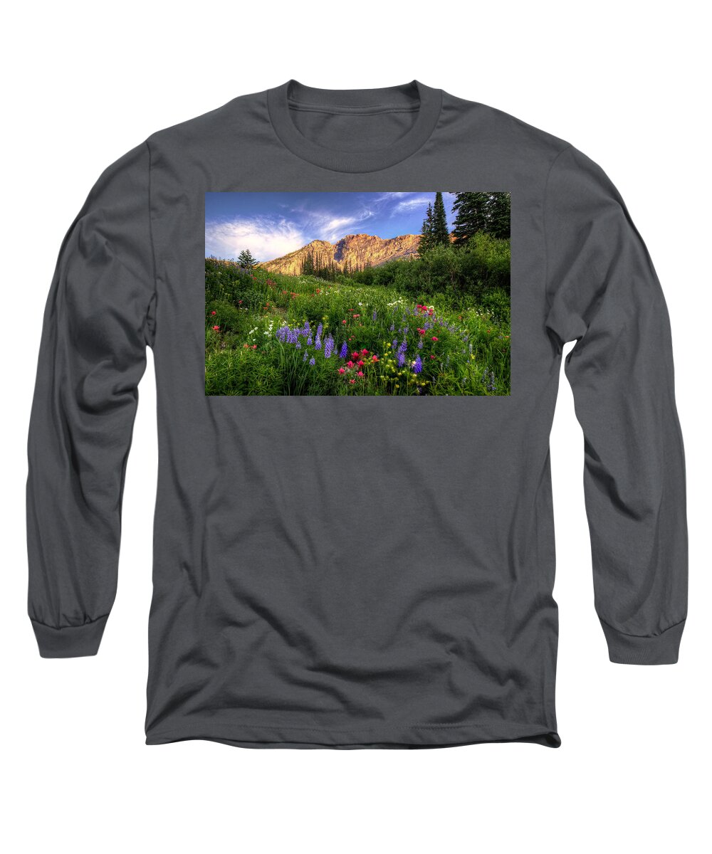 Albion Basin Long Sleeve T-Shirt featuring the photograph The Wild Albion Basin by Ryan Smith