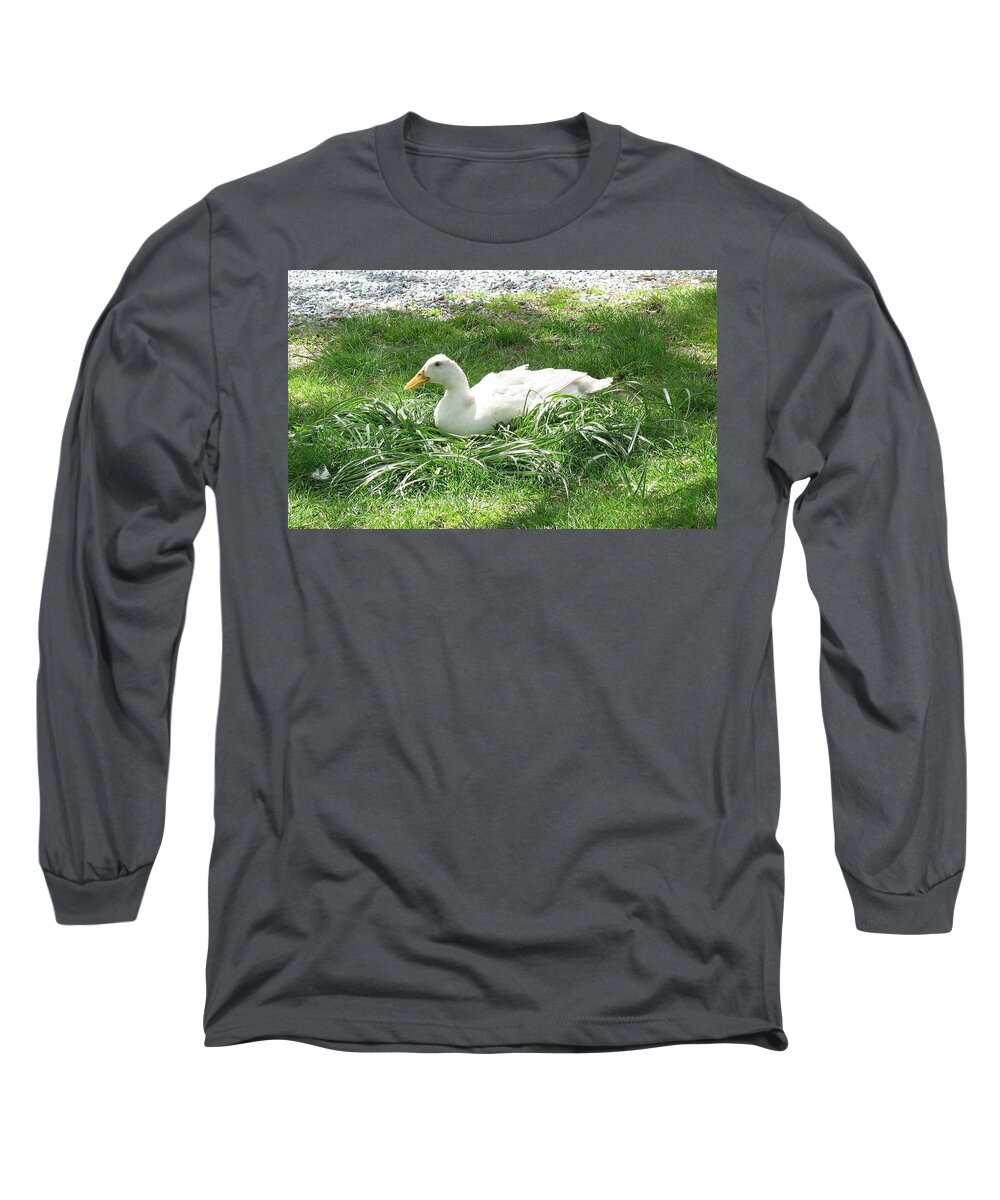 Animals Long Sleeve T-Shirt featuring the photograph This is my spot by Ed Smith