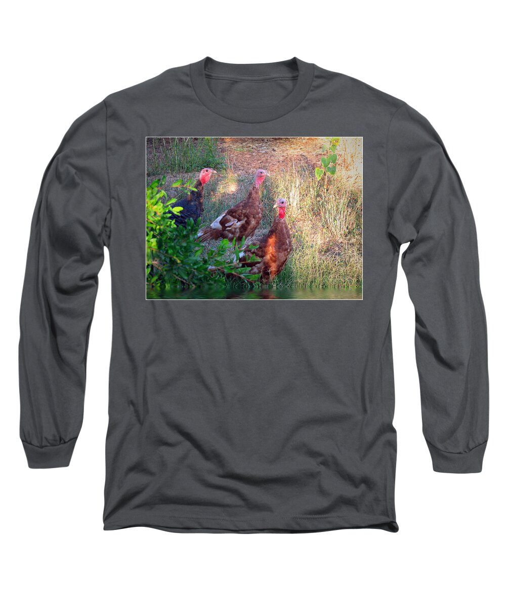 Turkey Long Sleeve T-Shirt featuring the photograph Three Amigos by Joyce Dickens