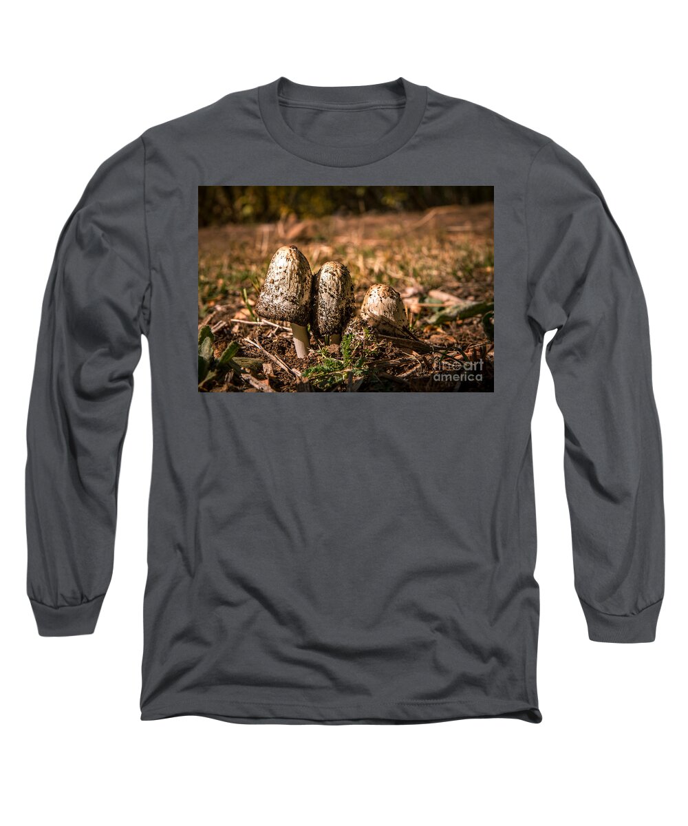 Mushrooms Long Sleeve T-Shirt featuring the photograph Three Stooges by Robert Bales