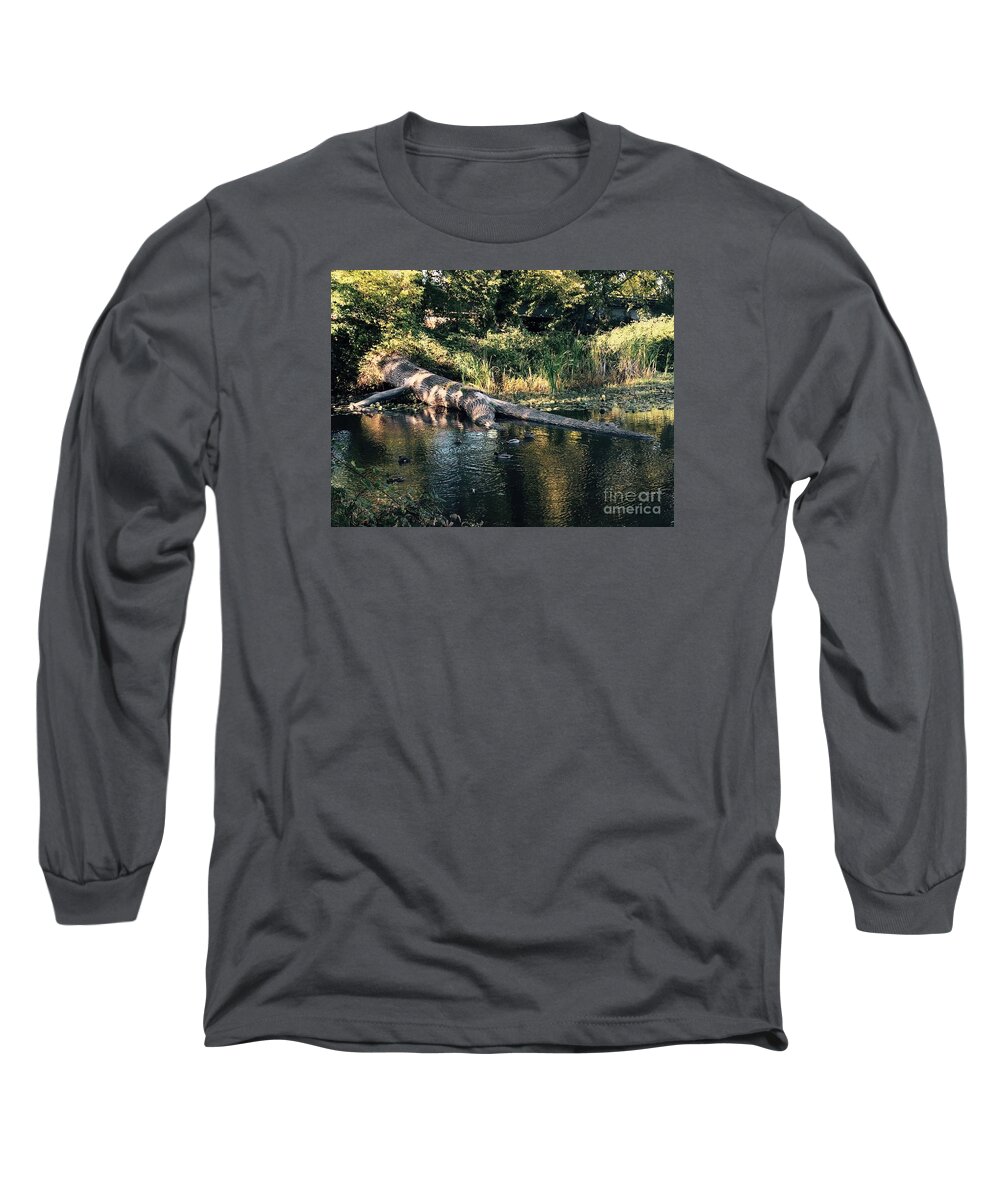 Tree Long Sleeve T-Shirt featuring the photograph Tired Tree by LeLa Becker