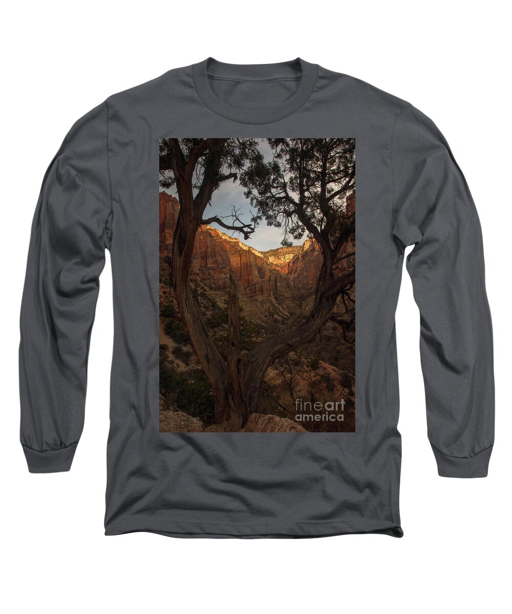 Tree Long Sleeve T-Shirt featuring the photograph Tree Heart by Jane Axman