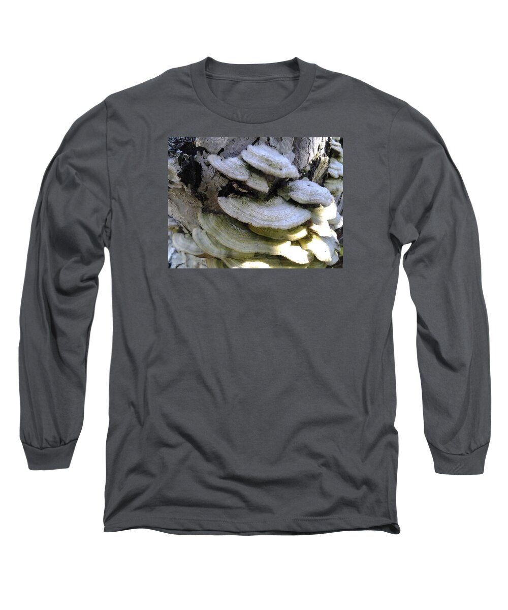  Long Sleeve T-Shirt featuring the photograph Tree Lichen by Stephanie Piaquadio
