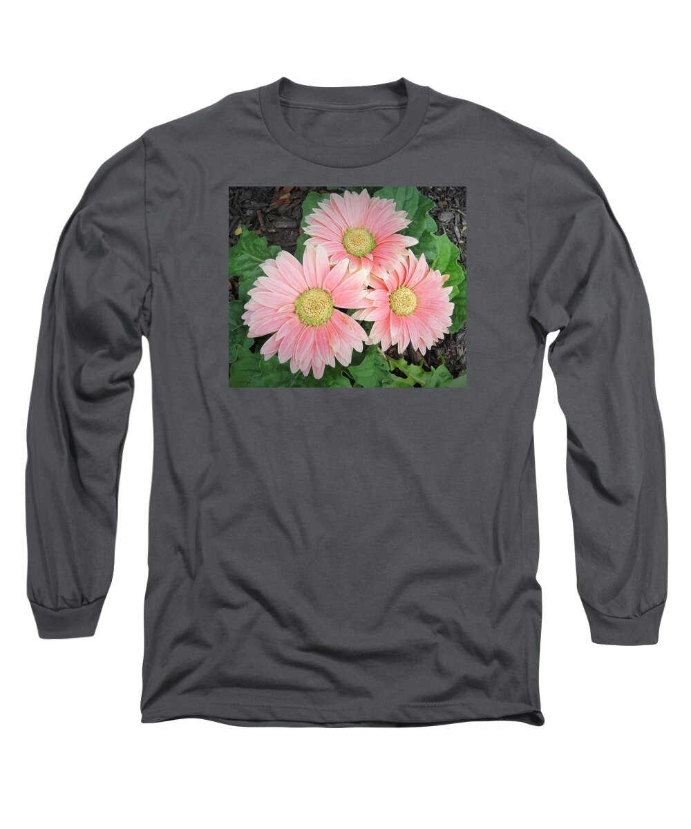 Flowers Long Sleeve T-Shirt featuring the photograph Trio of Gerbers by Jeanette Oberholtzer