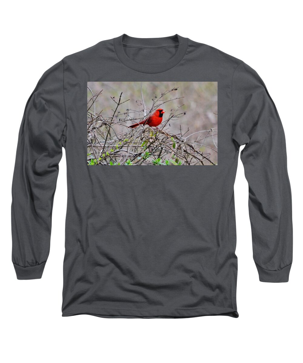 Cardinal Long Sleeve T-Shirt featuring the photograph Troy by Eileen Brymer