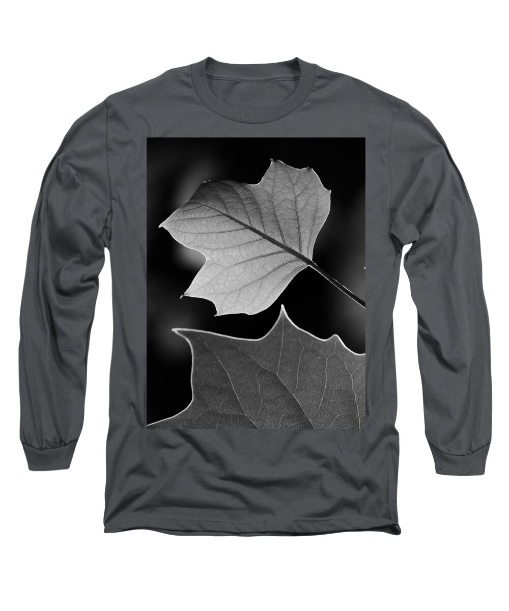Jane Ford Long Sleeve T-Shirt featuring the photograph Tulip tree leaves competing for light by Jane Ford