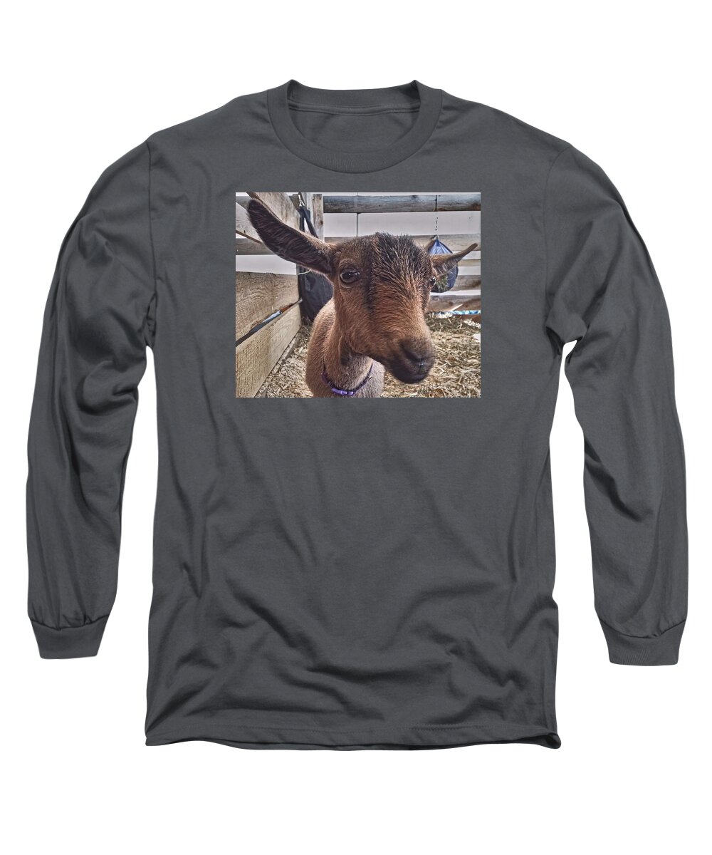 Goat Long Sleeve T-Shirt featuring the photograph Tuned In by Dani McEvoy