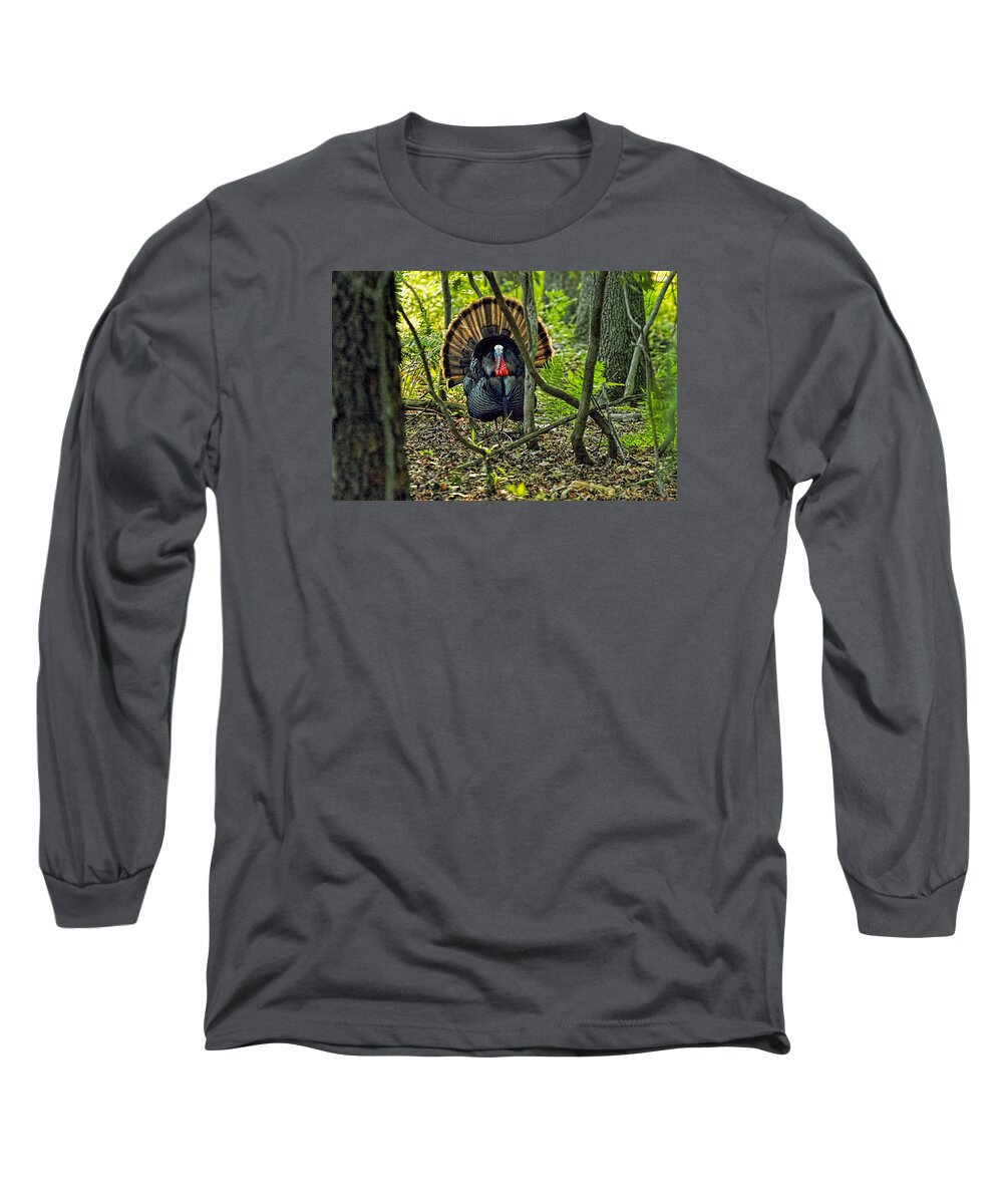 Recent Long Sleeve T-Shirt featuring the photograph Turkey in woods with rim lighting from sunset by Geraldine Scull