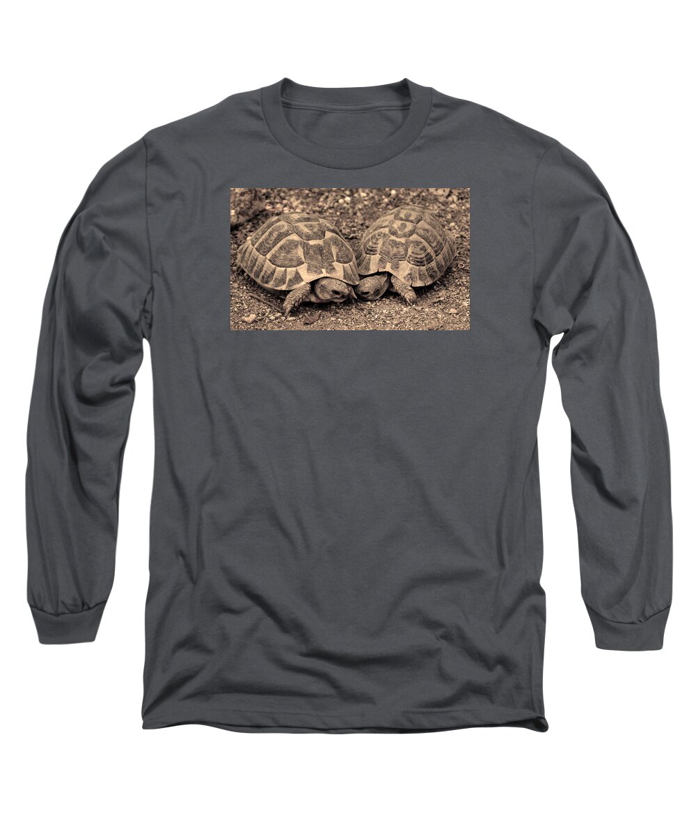 Pair Long Sleeve T-Shirt featuring the photograph Turtles pair by Gina Dsgn