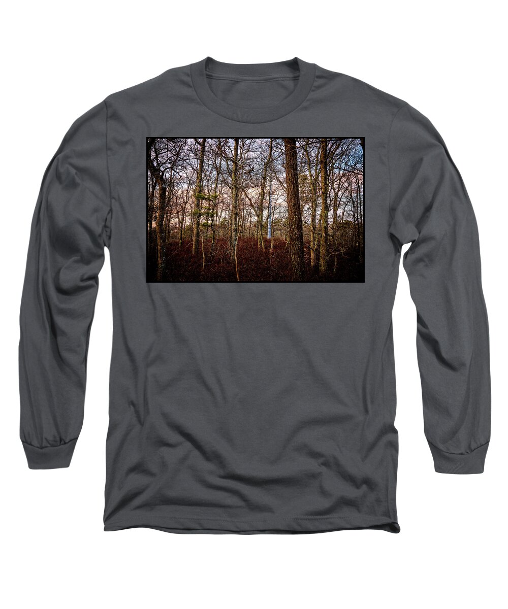 Sky Long Sleeve T-Shirt featuring the photograph Twilight by Frank Winters